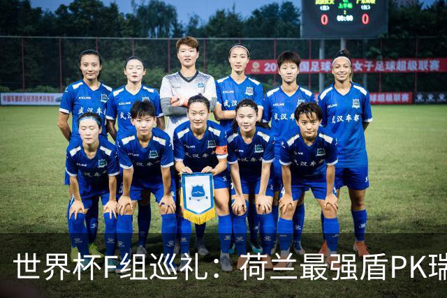 世界杯F组巡礼：荷兰最强盾PK瑞典犀利刀 日本短板明显