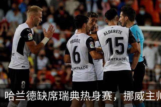 哈兰德缺席瑞典热身赛，挪威主帅透露小伤不必担忧
