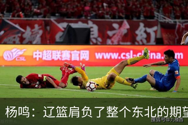 杨鸣：辽篮肩负了整个东北的期望 感谢球迷