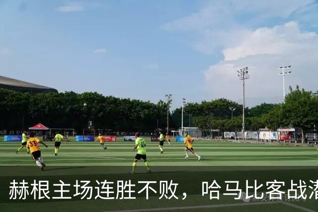 赫根主场连胜不败，哈马比客战潜力不足！